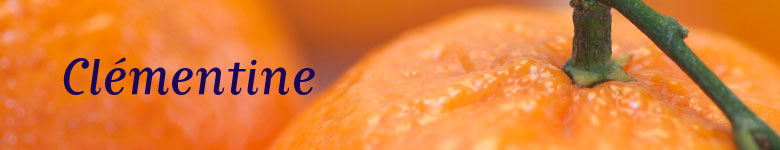 header image 1